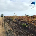 Villa Casa Pino Avec Terrasse Sur Le Toit